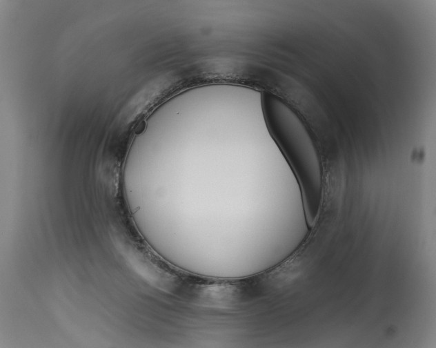 X0000114150168200911051450