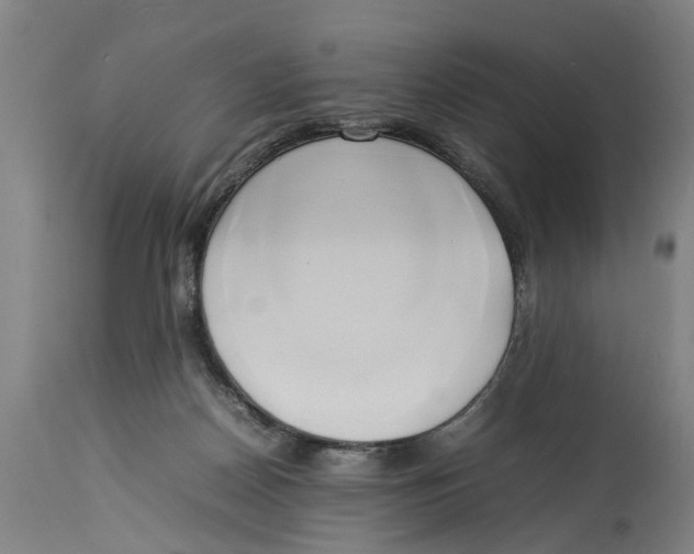 X0000114150170200911051450