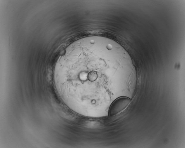 X0000114150175200911051450