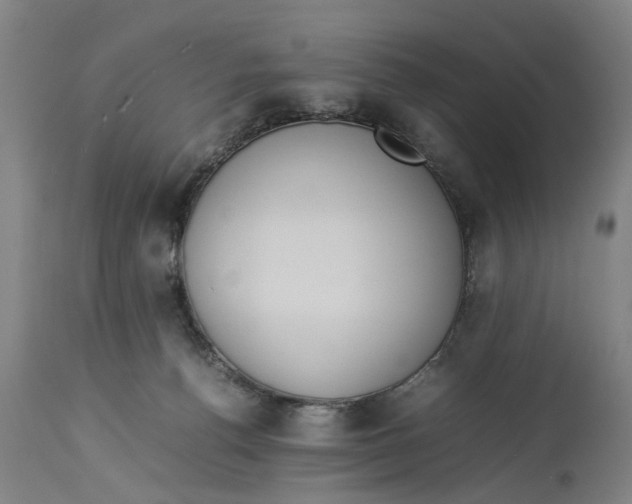X0000114150176200911051450
