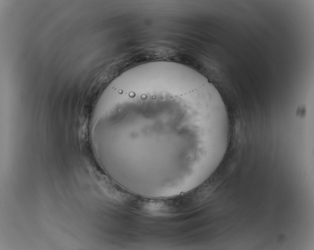 X0000114150177200911051450