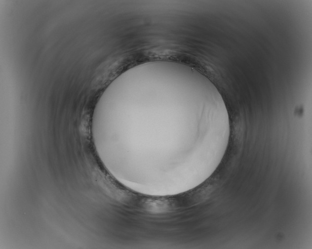 X0000114150181200911051450