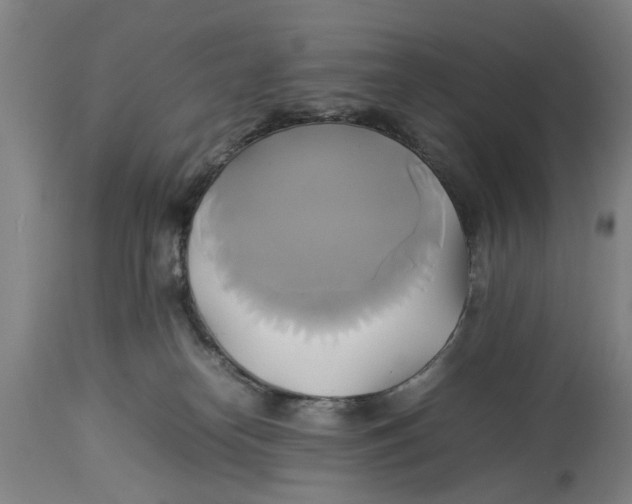 X0000114150182200911051450