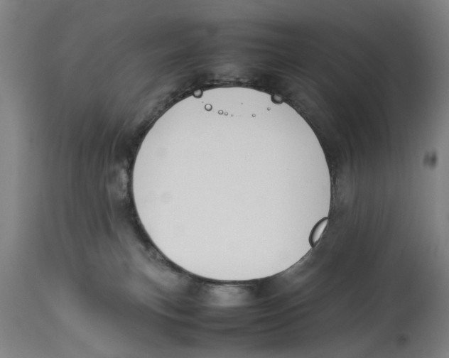 X0000114150183200911051450