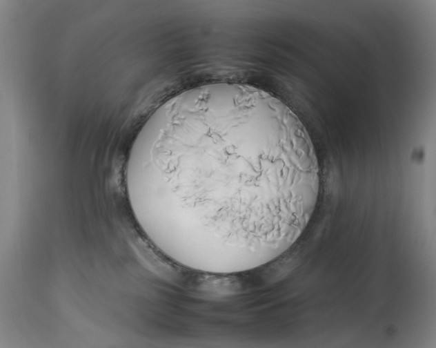 X0000114150185200911051450