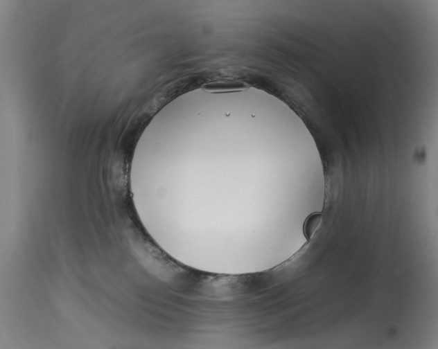 X0000114150186200911051450