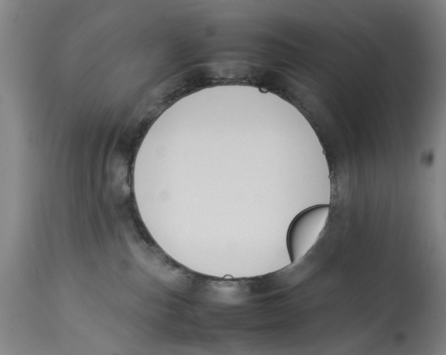 X0000114150187200911051450