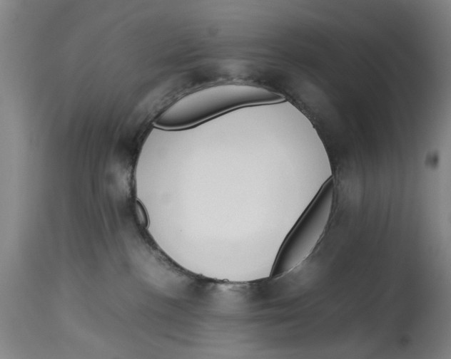 X0000114150188200911051450