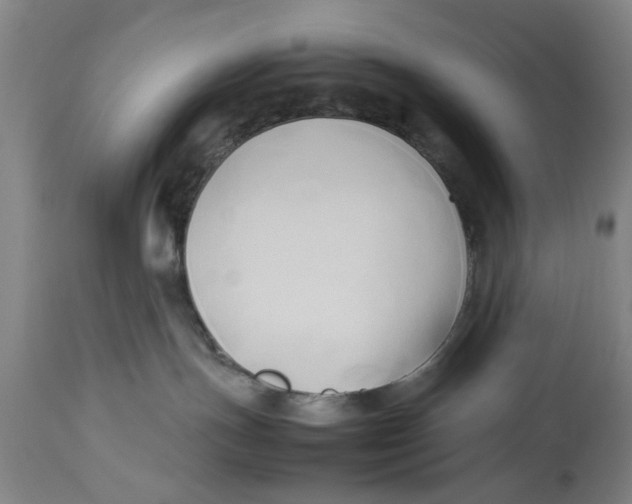 X0000114150191200911051450