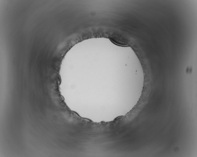 X0000114150192200911051450