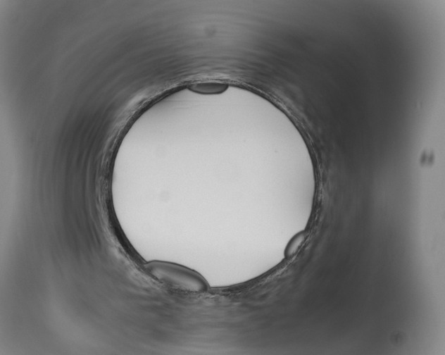 X0000114150193200911051450