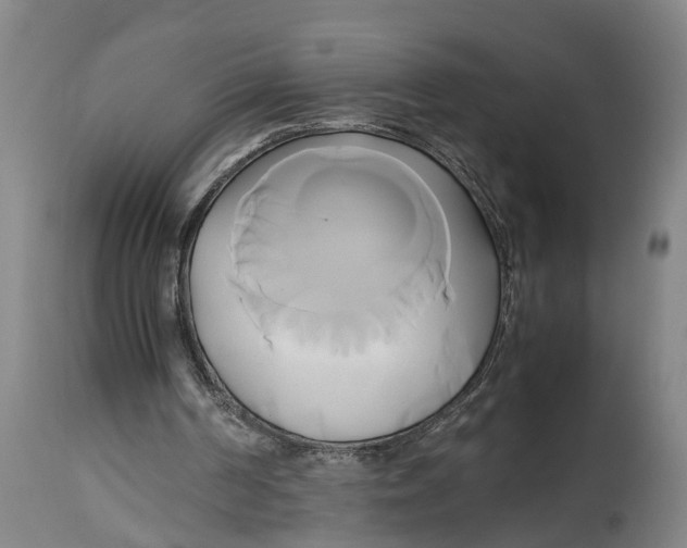 X0000114150194200911051450