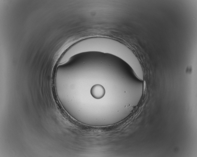 X0000114150195200911051450