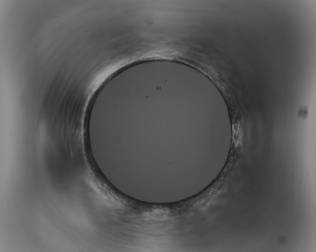 X0000114150196200911051450