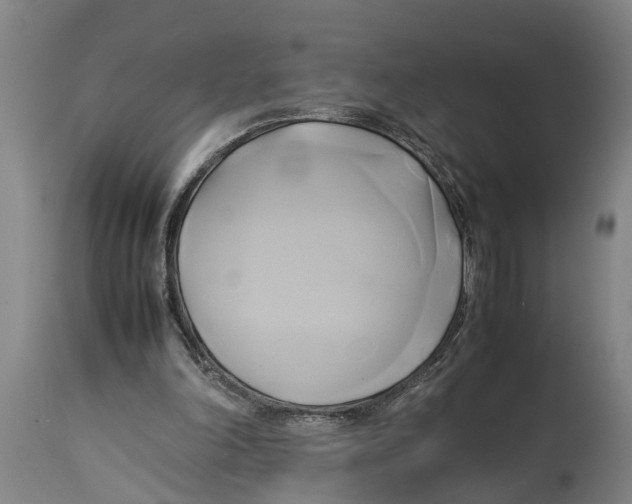 X0000114150198200911051450