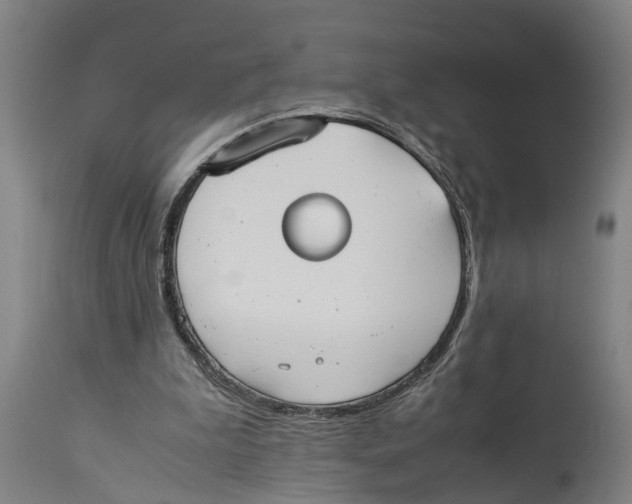 X0000114150199200911051450