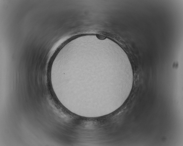 X0000114150200200911051450