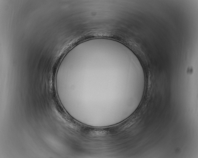 X0000114150202200911051450