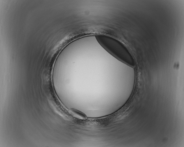 X0000114150203200911051450