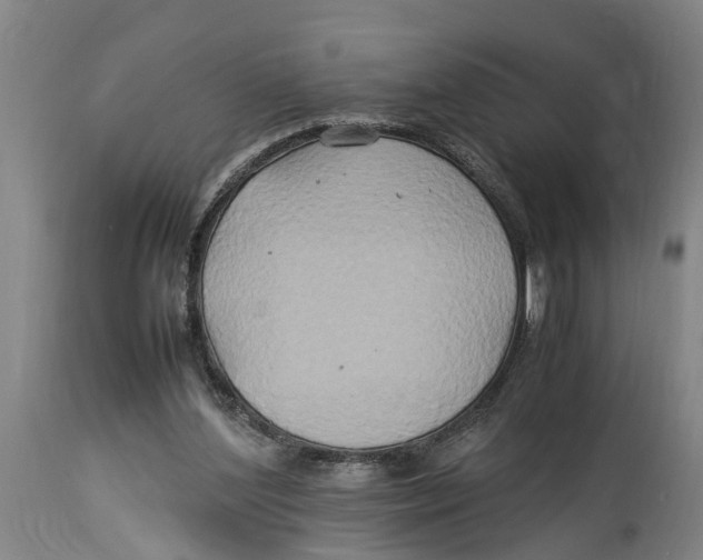 X0000114150204200911051449