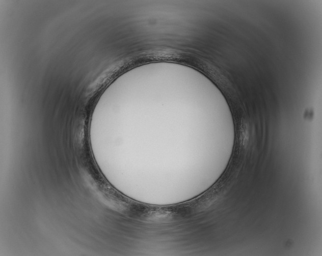 X0000114150206200911051449