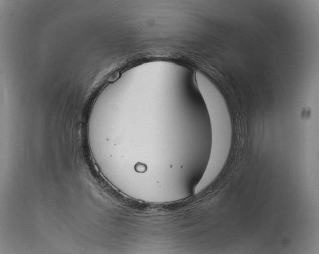X0000114150207200911051449