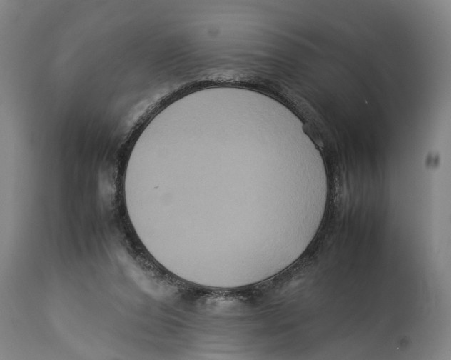 X0000114150208200911051449