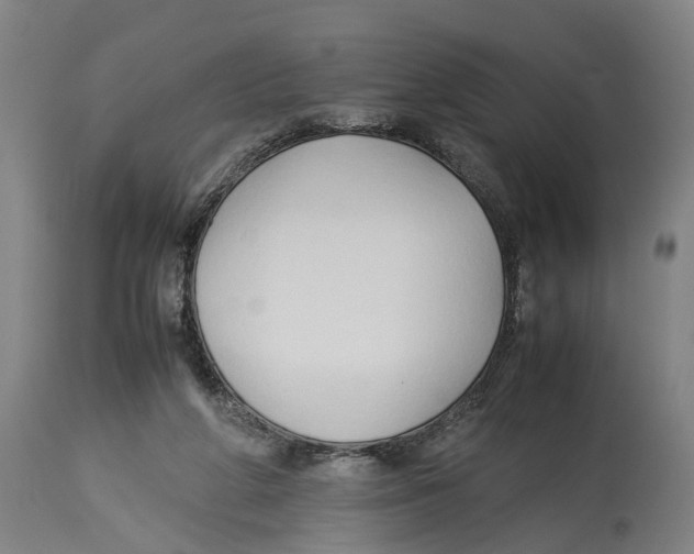 X0000114150210200911051449