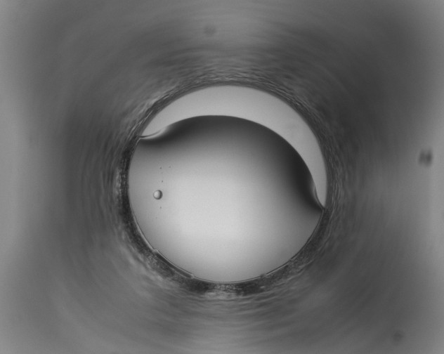 X0000114150211200911051449