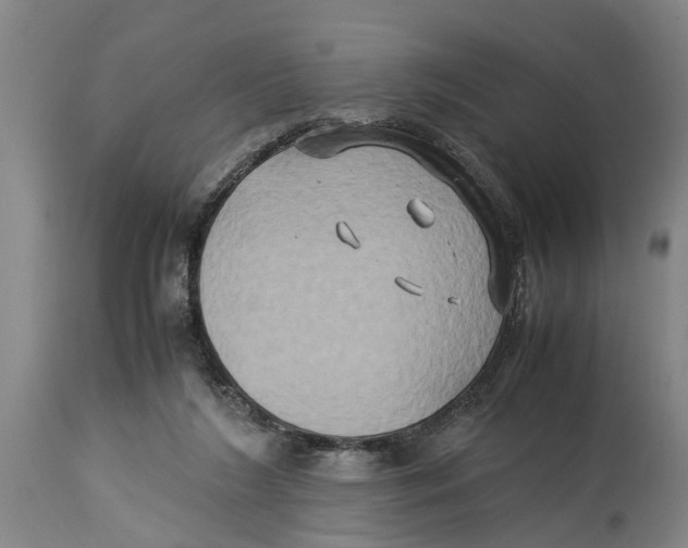 X0000114150212200911051449
