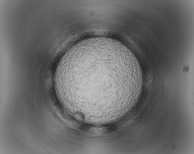 X0000114150213200911051449