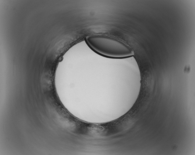 X0000114150215200911051449