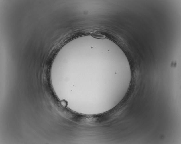 X0000114150217200911051449