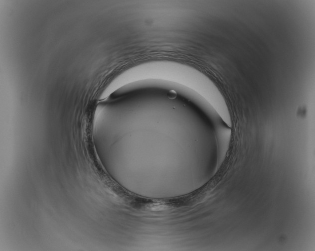 X0000114150219200911051449