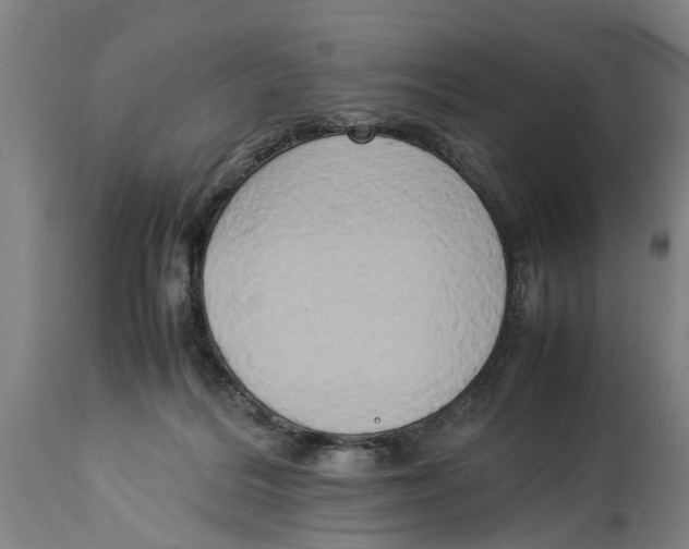 X0000114150220200911051449