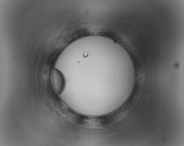 X0000114150221200911051449