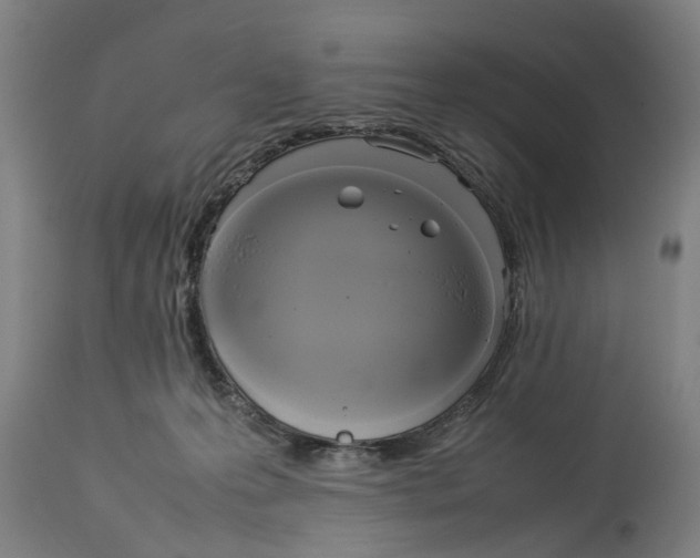 X0000114150223200911051449
