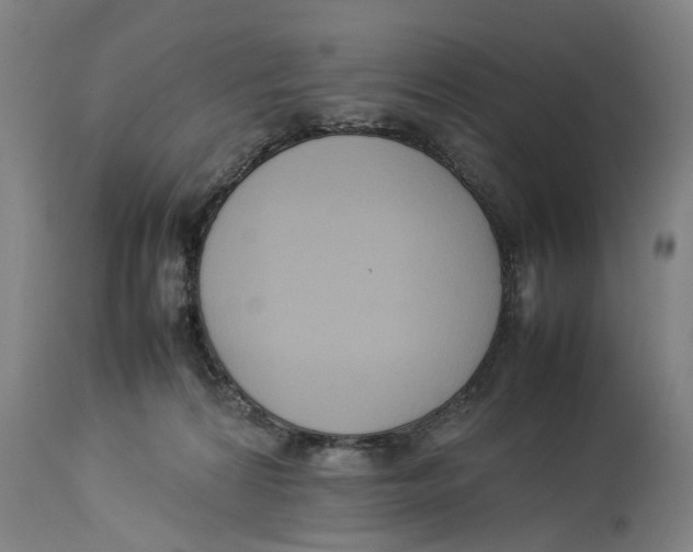 X0000114150224200911051449
