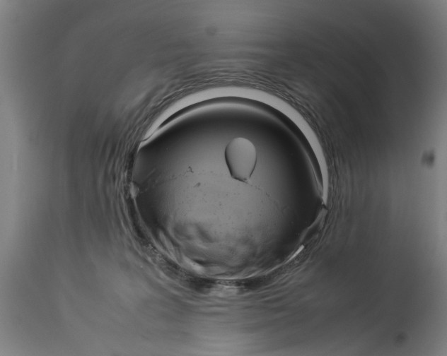 X0000114150227200911051449