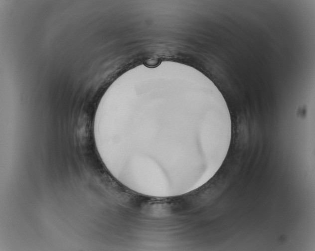 X0000114150228200911051449