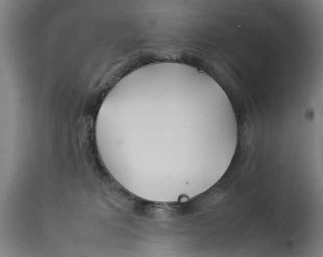 X0000114150229200911051449