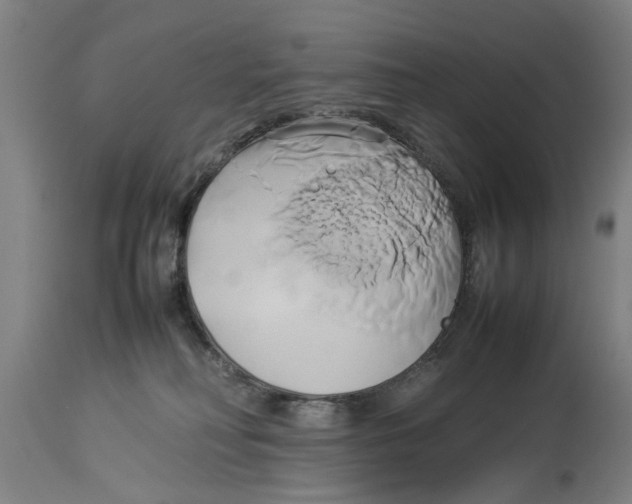 X0000114150230200911051449