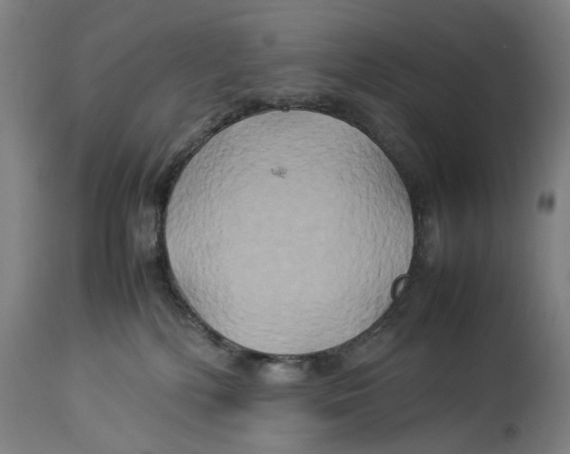 X0000114150232200911051449