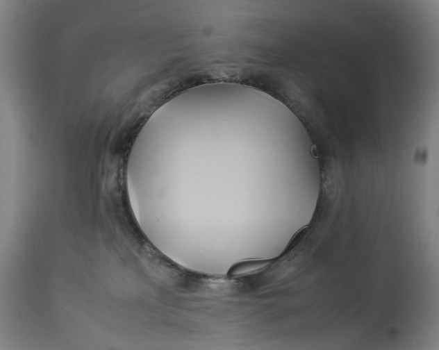 X0000114150233200911051449