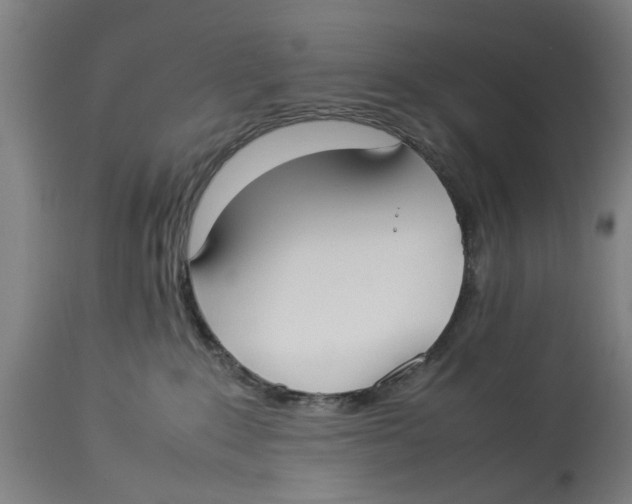 X0000114150235200911051449