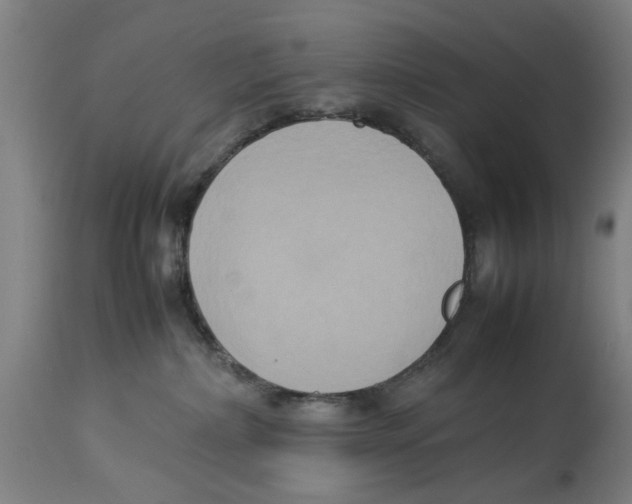 X0000114150236200911051449