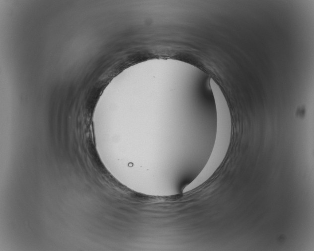 X0000114150237200911051449