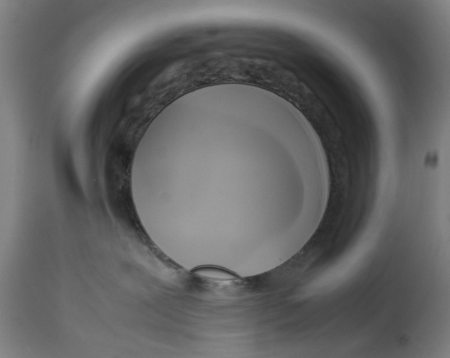 X0000114150239200911051449