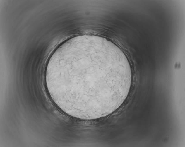 X0000114150241200911051448