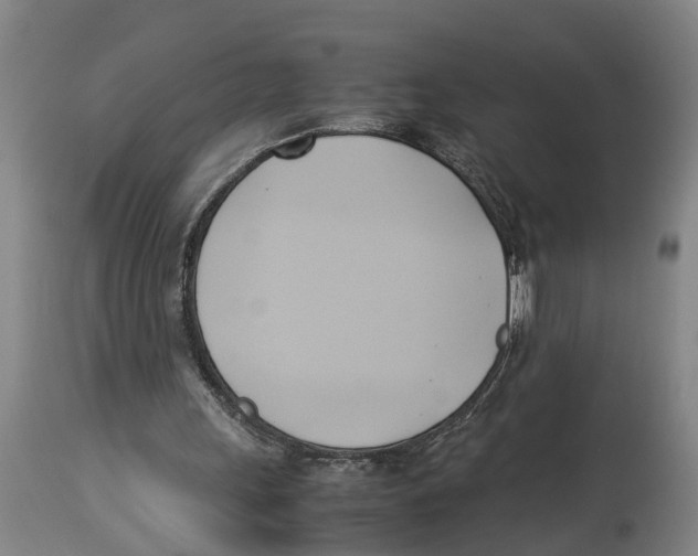 X0000114150243200911051448